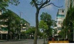 临汾路东小区最新爆料,揭秘神秘改造工程背后的故事